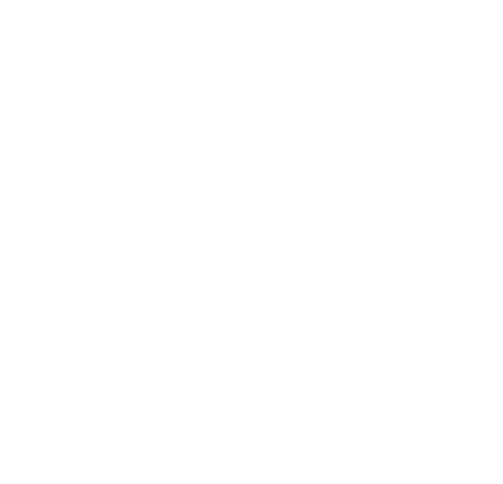 Bloom Interactive